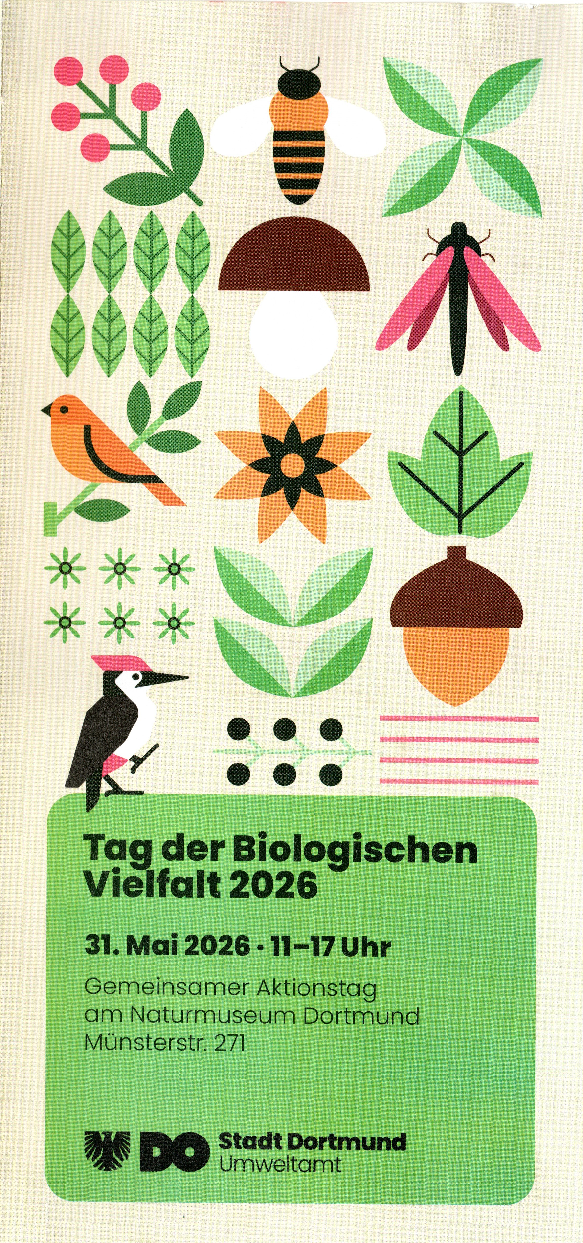 Flyer zum Programm
